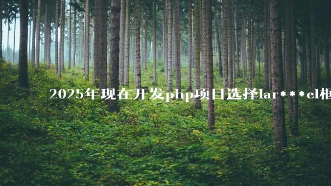 2025年现在开发php项目选择lar***el框架好还是thinkphp框架好？