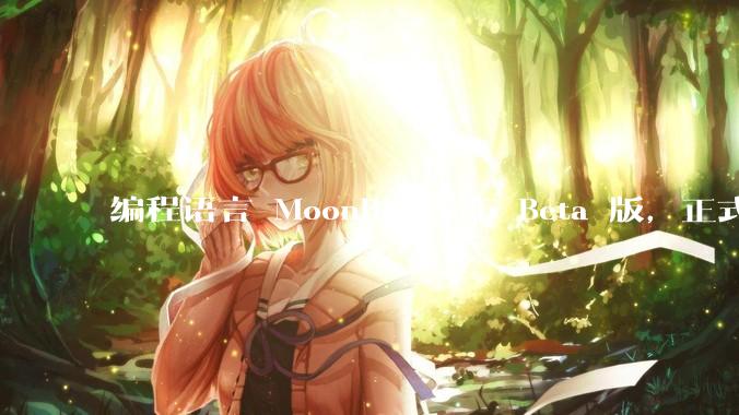 编程语言 MoonBit 发布 Beta 版，正式进入企业场景应用，会带来哪些影响？
