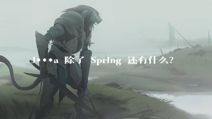 J***a 除了 Spring 还有什么？