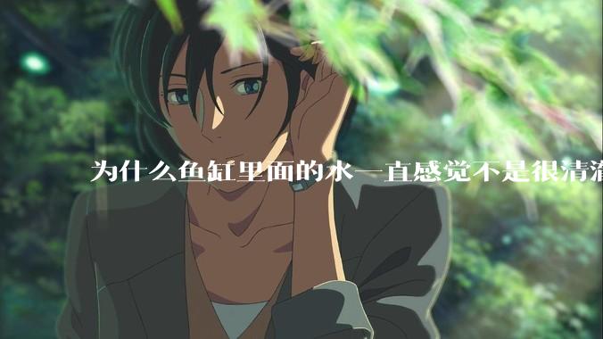 为什么鱼缸里面的水一直感觉不是很清澈呢？