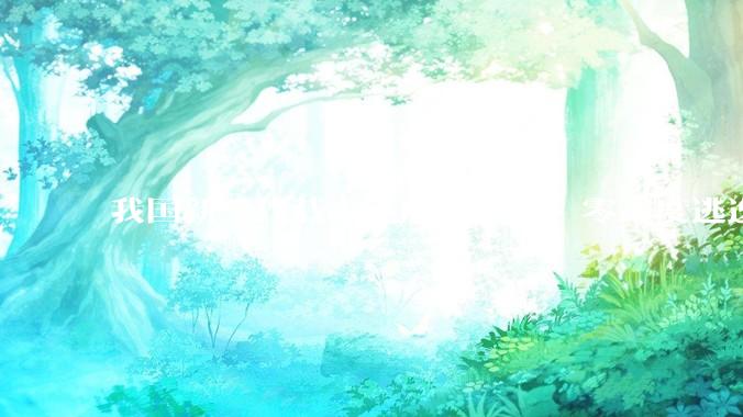 我国新一代载人飞船「梦舟」零高度逃逸飞行试验成功，该实验有怎样的意义？「梦舟」在未来会发挥哪些作用？