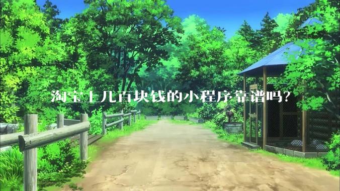 淘宝上几百块钱的小程序靠谱吗？