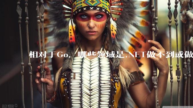 相对于Go，哪些领域是.NET做不到或做不好的?